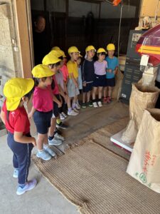 稲の脱穀・籾摺り見学（年長組）